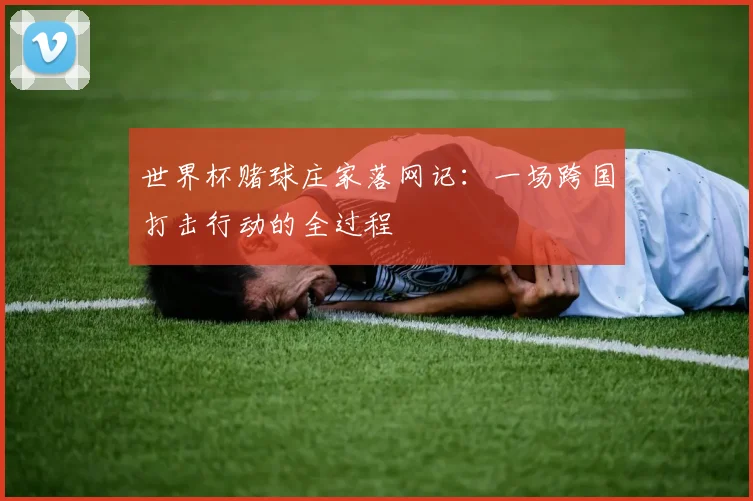 世界杯赌球庄家落网记：一场跨国打击行动的全过程