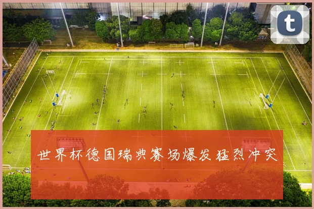世界杯德国瑞典赛场爆发猛烈冲突