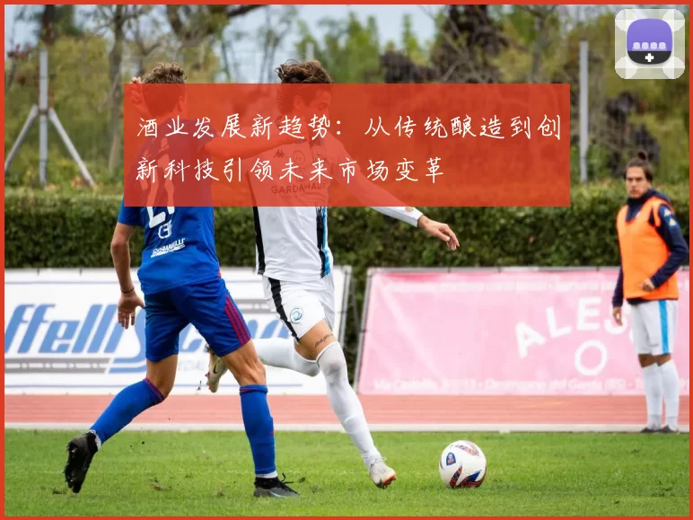 酒业发展新趋势：从传统酿造到创新科技引领未来市场变革
