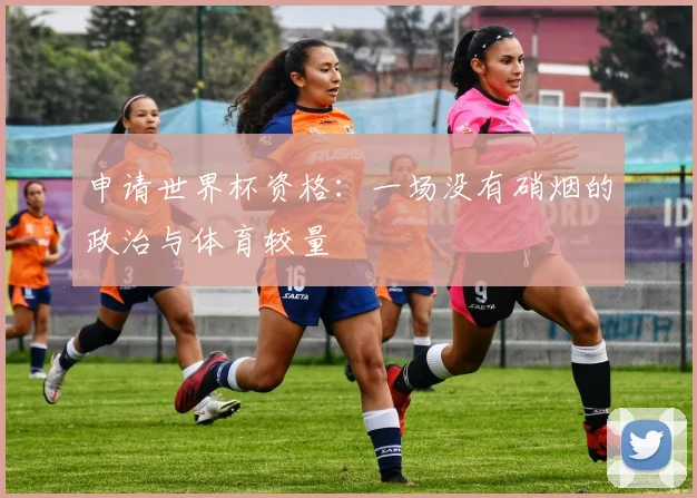 申请世界杯资格:一场没有硝烟的政治与体育较量