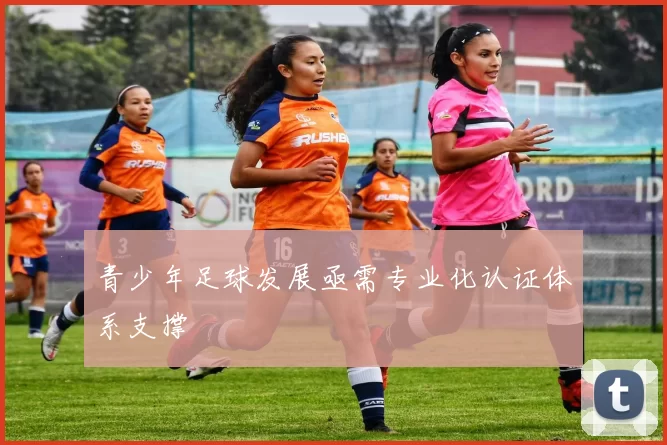 青少年足球发展亟需专业化认证体系支撑