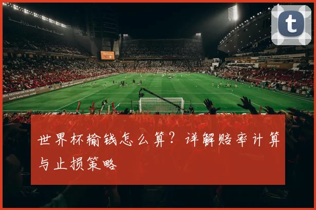世界杯输钱怎么算?详解赔率计算与止损策略