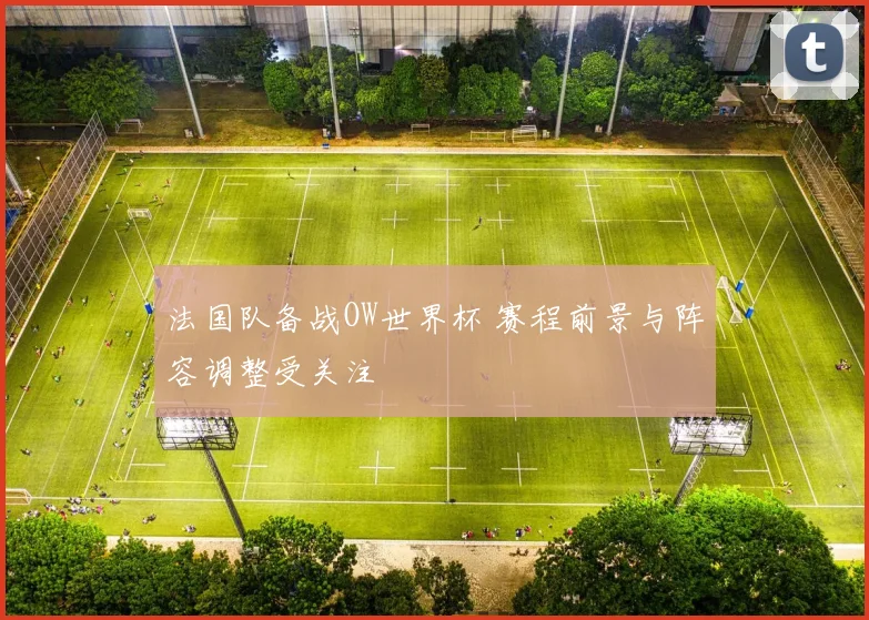 法国队备战OW世界杯 赛程前景与阵容调整受关注
