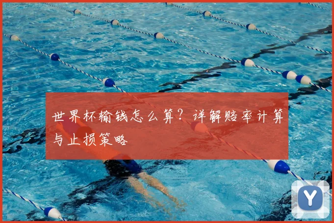 世界杯输钱怎么算?详解赔率计算与止损策略