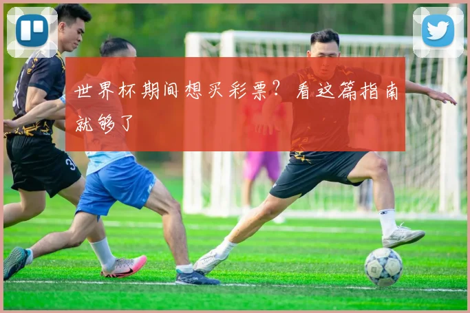 世界杯期间想买彩票?看这篇指南就够了
