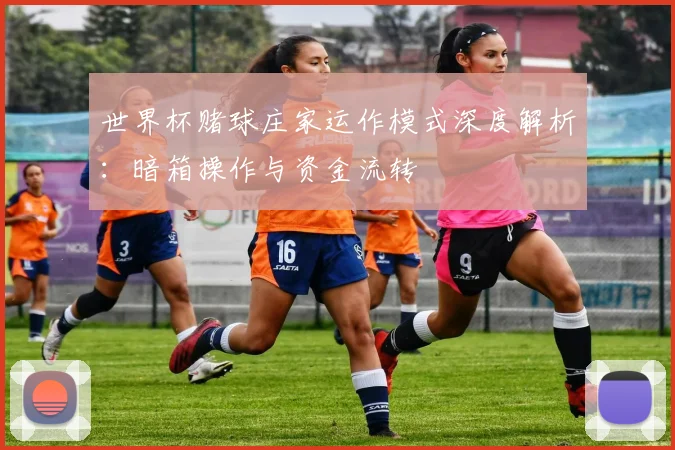 世界杯赌球庄家运作模式深度解析:暗箱操作与资金流转