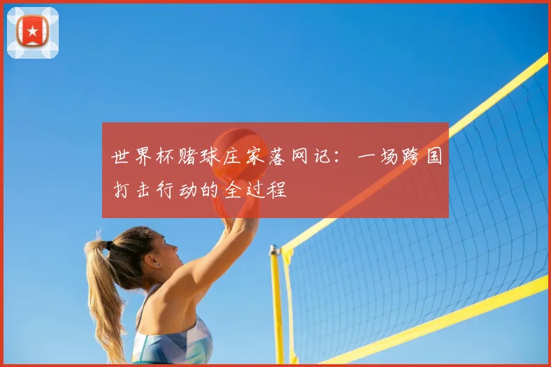 世界杯赌球庄家落网记：一场跨国打击行动的全过程