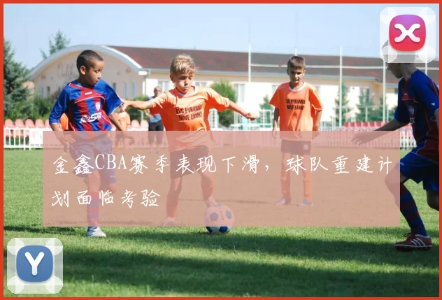 金鑫CBA赛季表现下滑，球队重建计划面临考验