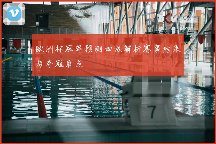 欧洲杯冠军预测回放解析赛事结果与夺冠看点