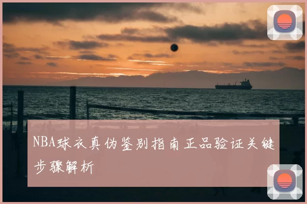 NBA球衣真伪鉴别指南正品验证关键步骤解析