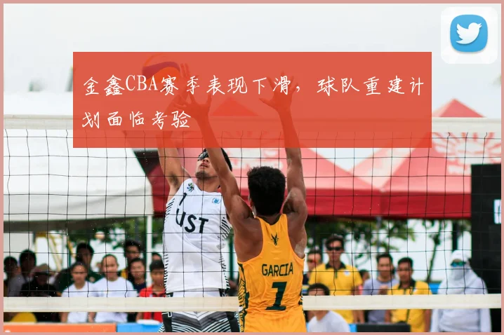 金鑫CBA赛季表现下滑,球队重建计划面临考验